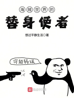 海贼世界的替身使者小说