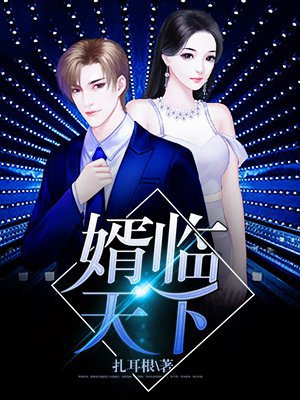 婿临天下