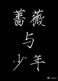 蔷薇与少年小说免费阅读