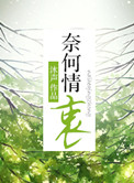 奈何情衷小说免费阅读