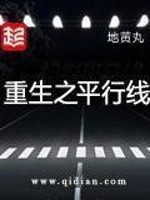 重生之平行线百度网盘