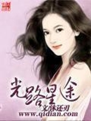 光路星途 小说