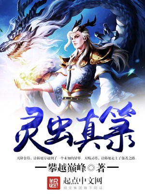 灵虫真等级