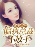 诱妻入怀:偏执总裁不放手
