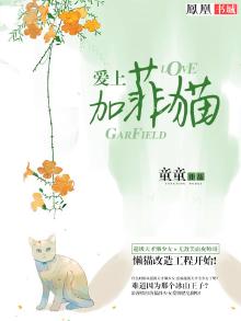 爱上加菲猫 小说