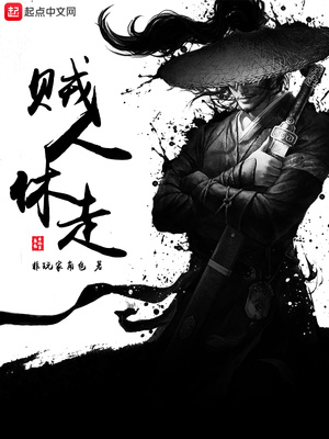 贼人休走小说下载
