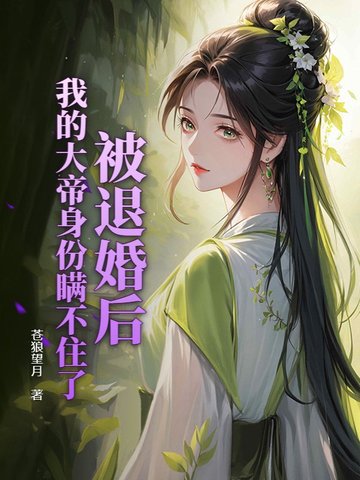 被退婚后,我的大帝身份瞒不住了小说