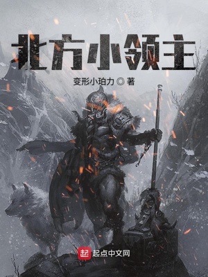 北方小领主 第27章