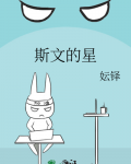 斯文的星