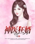 神医狂婿
