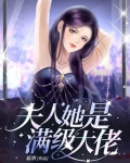 夫人她是满级大佬