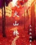 风火山林