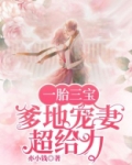 一胎三宝，爹地宠妻超给力