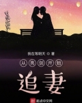 从亮剑开始追妻