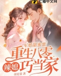 军婚甜蜜蜜,重生八零辣媳巧当家