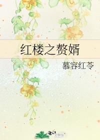 红楼之赘婿