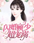 闪婚顾少超宠溺