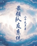 最强队友系统