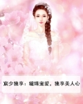 宸少独享：缱绻宠爱，独享美人心