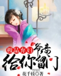 极品弃妇:王爷太傲娇