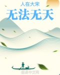 人在大宋，无法无天
