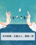 幸孕娇妻:总裁大人,借吻一用