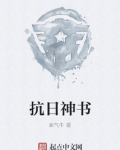 抗日神书