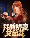 我的娇妻女总裁