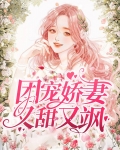 团宠娇妻又甜又飒