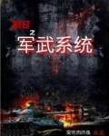抗日之军武系统