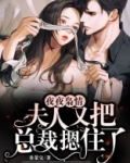夜夜枭情：夫人又把总裁摁住了