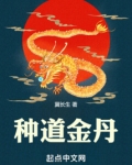 种道金丹
