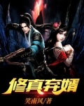 修真弃婿