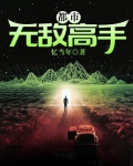 都市无敌高手