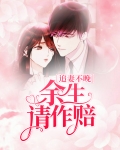 追妻不晚:余生请作赔