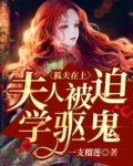 狐夫在上:夫人被迫学驱鬼