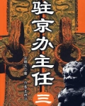 驻京办主任(三)