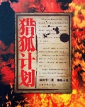 猎狐计划