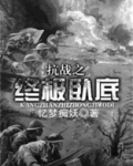 抗战之终极卧底