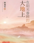 在阳光眷顾的大地上