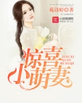 喜从妻来:傲娇老公,深深宠