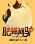 肥猫阿驴