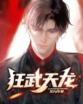 狂武天龙