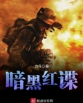 暗黑红谍