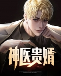 神医贵婿