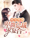 萌宝驾到:卑微总裁求复合