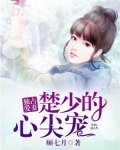 独占爱妻:楚少的心尖宠