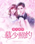 奉天承孕:慕少照约
