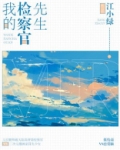 我的检察官先生