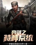 抗战之特种系统